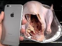 視頻｜iPhone6進烤箱4小時，居然能開機
