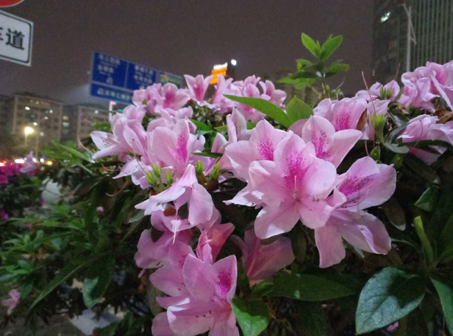 全面升級(jí)千元最強(qiáng) 魅藍(lán)note3體驗(yàn)評(píng)測(cè)
