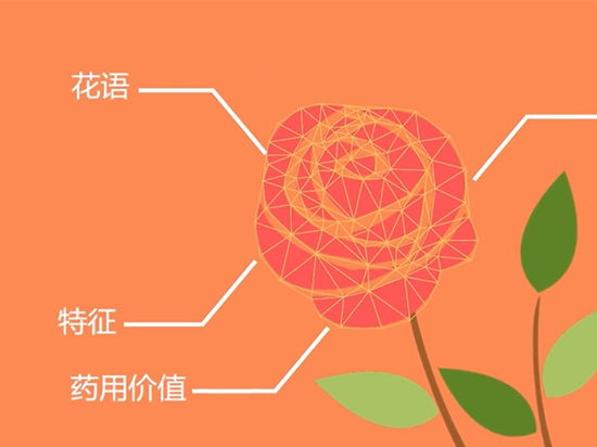 如何認(rèn)出花名？微軟識花一鍵搞定