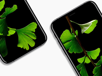 科客晚報：iPhone 8渲染圖超驚艷 小米6采用四曲面設計？