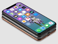 蘋果iPhone X定妝照出爐！搶到腮紅金新配色就是賺
