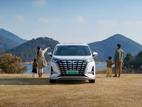 最懂用戶(hù)的宜商宜家全能MPV！2024款騰勢(shì)D9正式上市